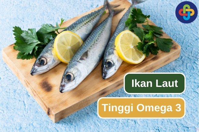 Inilah 8 Jenis Ikan Laut yang Tinggi Omega-3